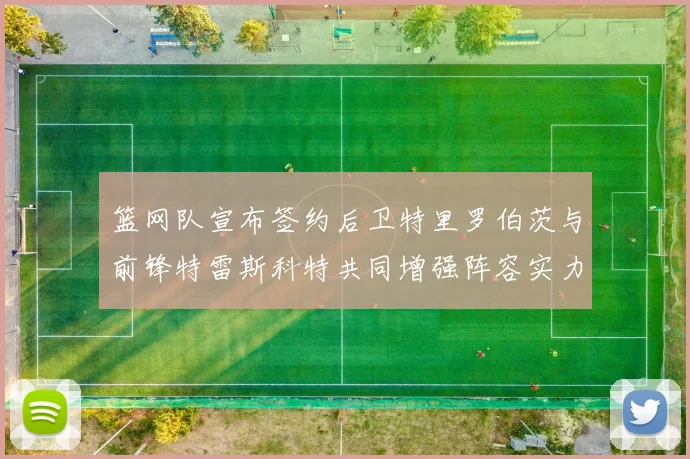 篮网队宣布签约后卫特里罗伯茨与前锋特雷斯科特共同增强阵容实力